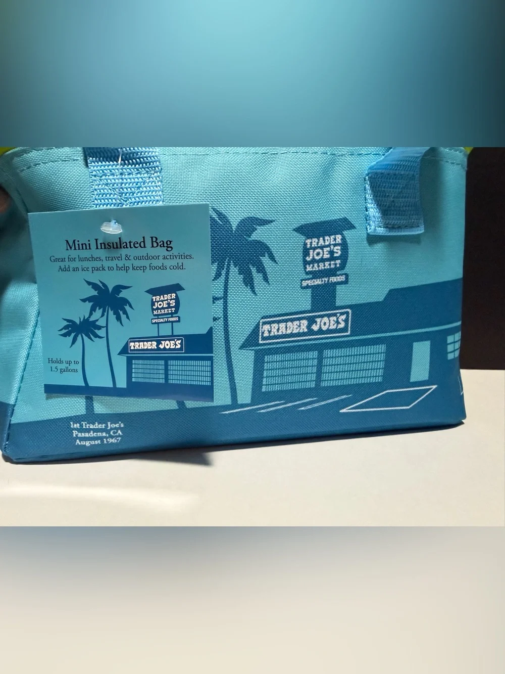 Trader‎ Joe's Aqua Insulated Lunch Bag with Lime Zipper